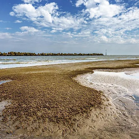 Daire Cozy In Dunkerque