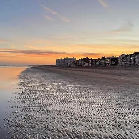 Daire Cozy In Dunkerque Dunkirk
